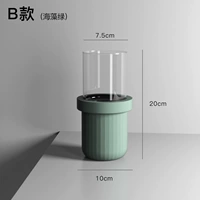 B -тип морской водоросль зеленый