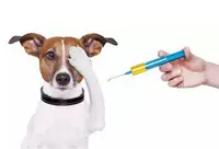 Импортированные собаки, чтобы предотвратить швы в щенки универсальные два -части -сиксовые бешенство и вакцина против кошачьей вакцины.