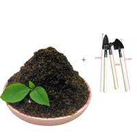 Натуральный гумус почва 9,2 кот+садоводство