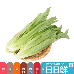 [油麦菜 约400g(盒马日日鲜）]
