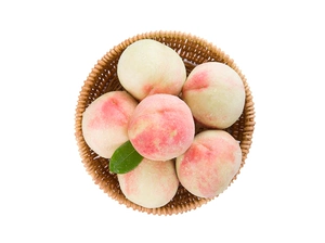 Импортный слюнявчик, 500G