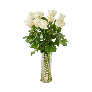 Fangde Snow Mountain Rose White 10 стеблей/галстук