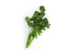 [水培芹菜300g]