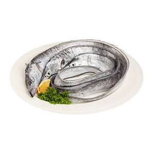 [冰鲜东海带鱼 3条/组(90-150g/条)]