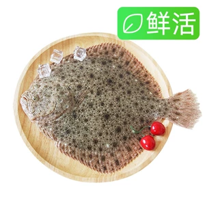 [鲜活多宝鱼1条（单条450g+）]