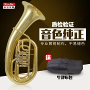 Dụng cụ loa trầm mới kho báu phẳng bốn phím nhỏ ôm phẳng phím Yun Fulai số đồng thau bass trên lớn - Nhạc cụ phương Tây