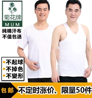 Hoa cúc thương hiệu nam cotton rào cản vest trung niên loose đáy đồ lót cũ áo mùa hè ngắn tay t-shirt áo dán ngực