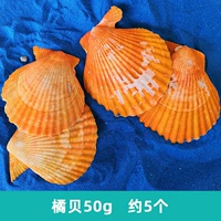 Апельсиновая кровать 50 г около 5