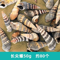 Около 80 длинных Spocked Snails 50G