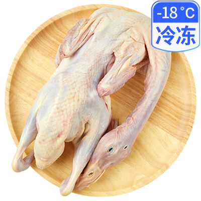 Qingyuan Летающая утка 800г