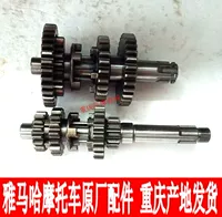 Phụ kiện xe máy Yamaha JYM110-2-B i8 U8 tình yêu tóc chính - Xe máy Gears nhông xe máy 16 răng