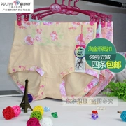 Bốn bài viết Puli Shi Bà kích thước lớn cotton co giãn để tăng eo cao đồ lót bụng 3119 quần xác ướp cotton