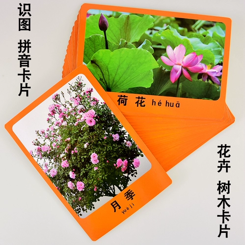 Карточки для детского сада, познавательная карта, обучение, раннее развитие