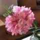 Розово-фиолетовый