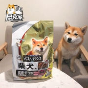 Thức ăn chủ yếu của Nick, giống chó Nhật Bản, Shiba, thức ăn đặc biệt, 3kg, thức ăn cho chó trưởng thành nhập khẩu, bao bì mới