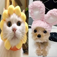 Подсолнух+розовая шляпа кролика