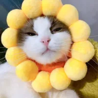 Шапка на солнечной энергии