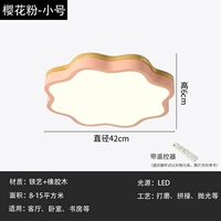 Розовая труба слива цветение белый свет