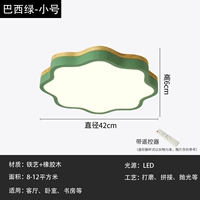 Зеленая труба слива без цветка