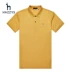 Áo phông nam Hazzys Hajis 2019 mới dành cho nam thời trang áo thun ngắn tay màu trơn Áo sơ mi POLO thủy triều Anh - Polo Polo