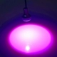Changliang Pink One две линии