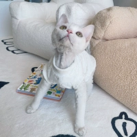 Милые носки