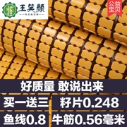 Summer Mahjong Mahjong carbon mat tre mat mat 1,5 m 1,2 m sinh viên 1.8m trong đơn hoặc kép gấp mat - Thảm mùa hè