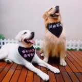 Шарф, слюнявчик, нагрудник, аксессуар