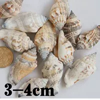 5 Серебряные натуральные серебряные улитки 5