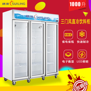 tủ lạnh hòa phát Sui Ling 1000M3F tủ đông thẳng đứng ba cửa làm mát bằng không khí Tủ trưng bày công suất lớn tủ đông aqua