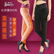 Quần Hong Kong Rao 7702 của phụ nữ mùa đông eo cao mặc quần ấm cộng với nhung dày chân gối đầu gối quần legging 7733