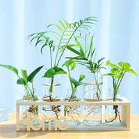 5 бутылок бревен [растения в подарочной фигуре]