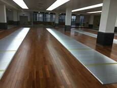 Снаряжение для фехтования Фехтовальная экипировка, алюминиевые