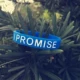 Ipromise [Blue White]