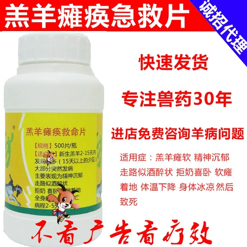 Зверя парализованного ягненка спасает ягненок мягкую парализованную патопатию белой мышцы ягненка.