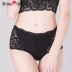 Amour ren phần mỏng không có vòng thép đồ lót bra bra SL17152 eo cao boxer tóm tắt SL23152 set - Bộ đồ lót shop thời trang nữ Bộ đồ lót