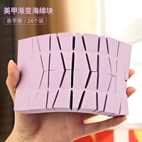 Градиент губчатая стрельба 24 [Таро Пурпур]