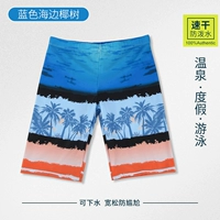 Кокосовое дерево синего пляжа