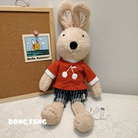 Красная вишня упакован коричневый кролик