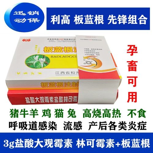 Большой вид на гидрохлорид Grand Caredicillin растворимые ветеринарные лекарства и зверь с респираторными каналами до и после рождения