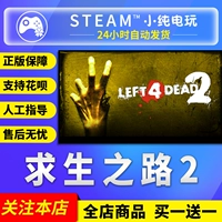Steam PC Китайская подлинная игра Survival Road 2 оставил 4 Dead 2 L4D2