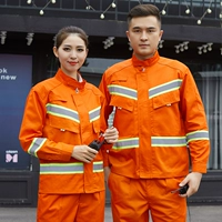 1247 Orange Red (весна и осень