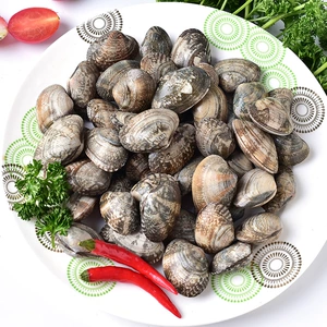 Haisun xiaoqiao Flower Clade Sea Aquatic Fresh Living Natural Wild Flower Armor Песчаная плетеная 35/jgs