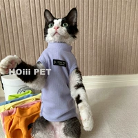 Гвоздр фиолетовый