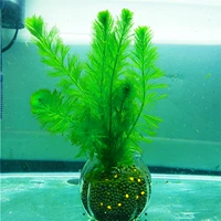 Светло-синий