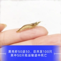 Черная раковина 50 Получите 50 свободных потерь потребление