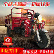 Zongshen điện nhiên liệu xăng ba bánh xe máy 175cc mới vận chuyển hàng hóa xe nông nghiệp ba bánh xe