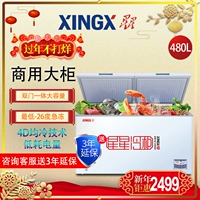 Tủ đông lạnh thương mại XINGX Star BD BC-480E - Tủ đông tủ đông hòa phát