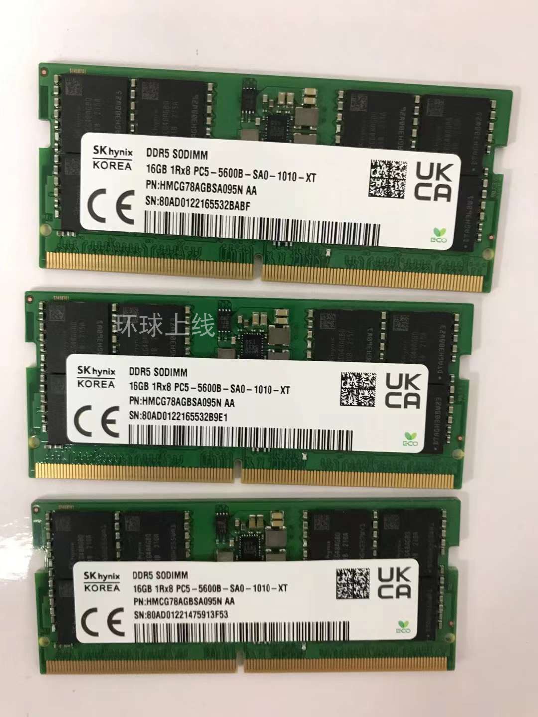  SK 16G PC5 5600B 32G DDR5 