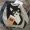 Phiên bản tiếng Hàn của áo len mèo hoạt hình mới Nhật Bản nhỏ dày dày đầu người yêu áo len áo hoodie đôi
